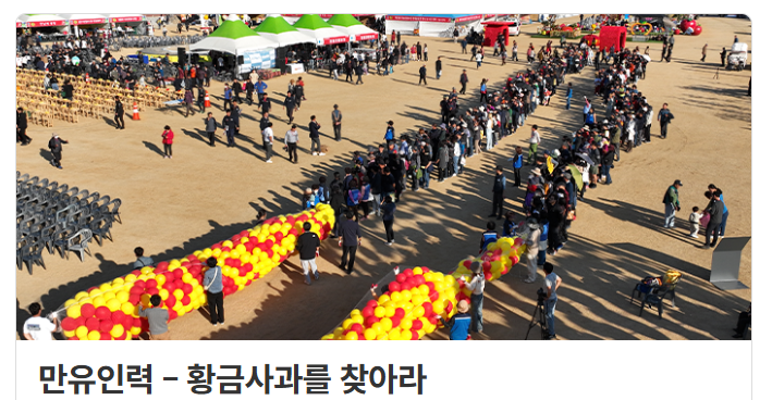 청송사과축제