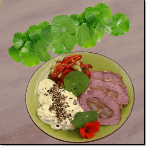 고투 콜라 효능