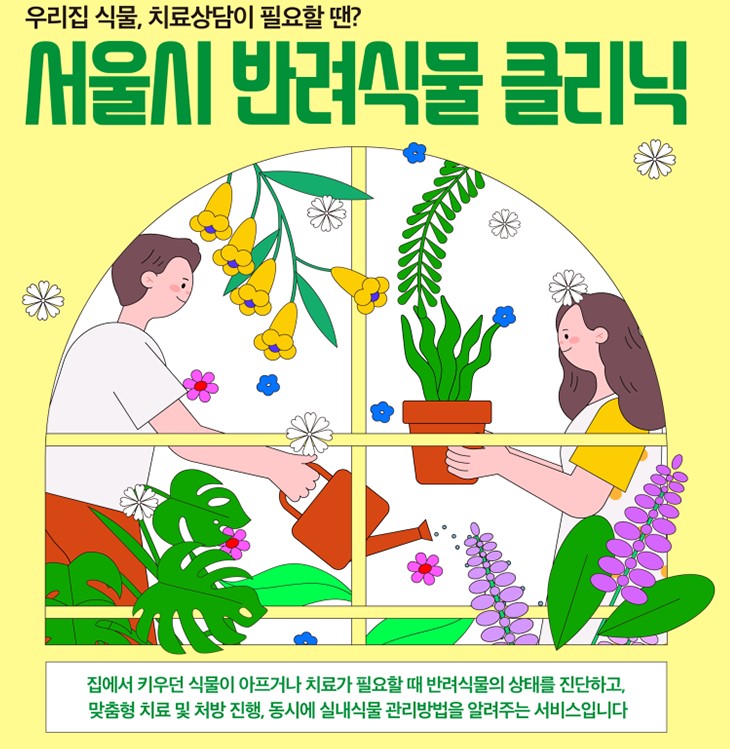 반려식물 클리닉