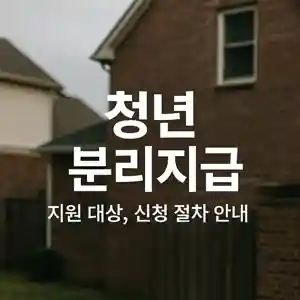 청년 분리지급 제도 이미지