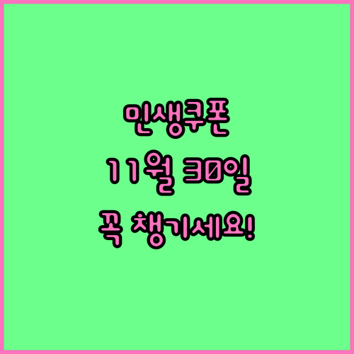 사용 기한 11월 30일, 민생회복 ..