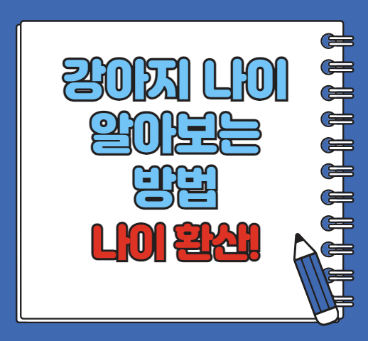 강아지 나이 알아보는 방법ㅣ강아지 나이 환산
