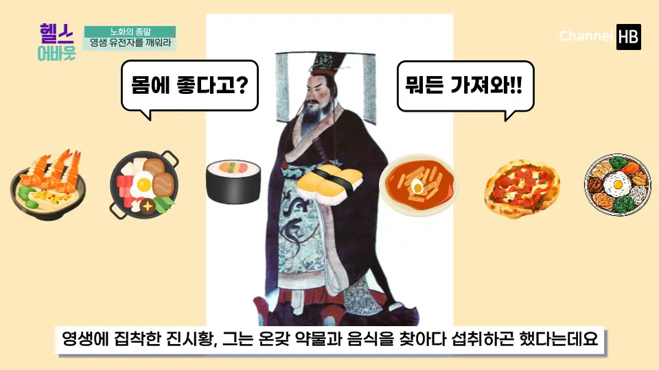 NMN효능
