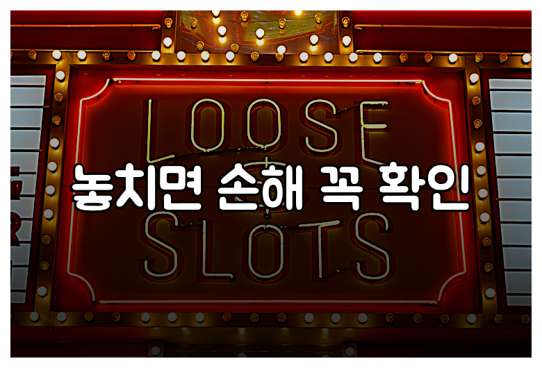 놓치면 손해 꼭 확인
