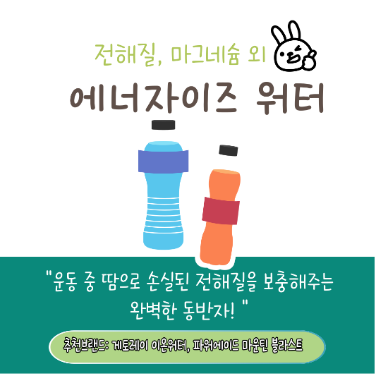 다이어트 수분보충 음료추천