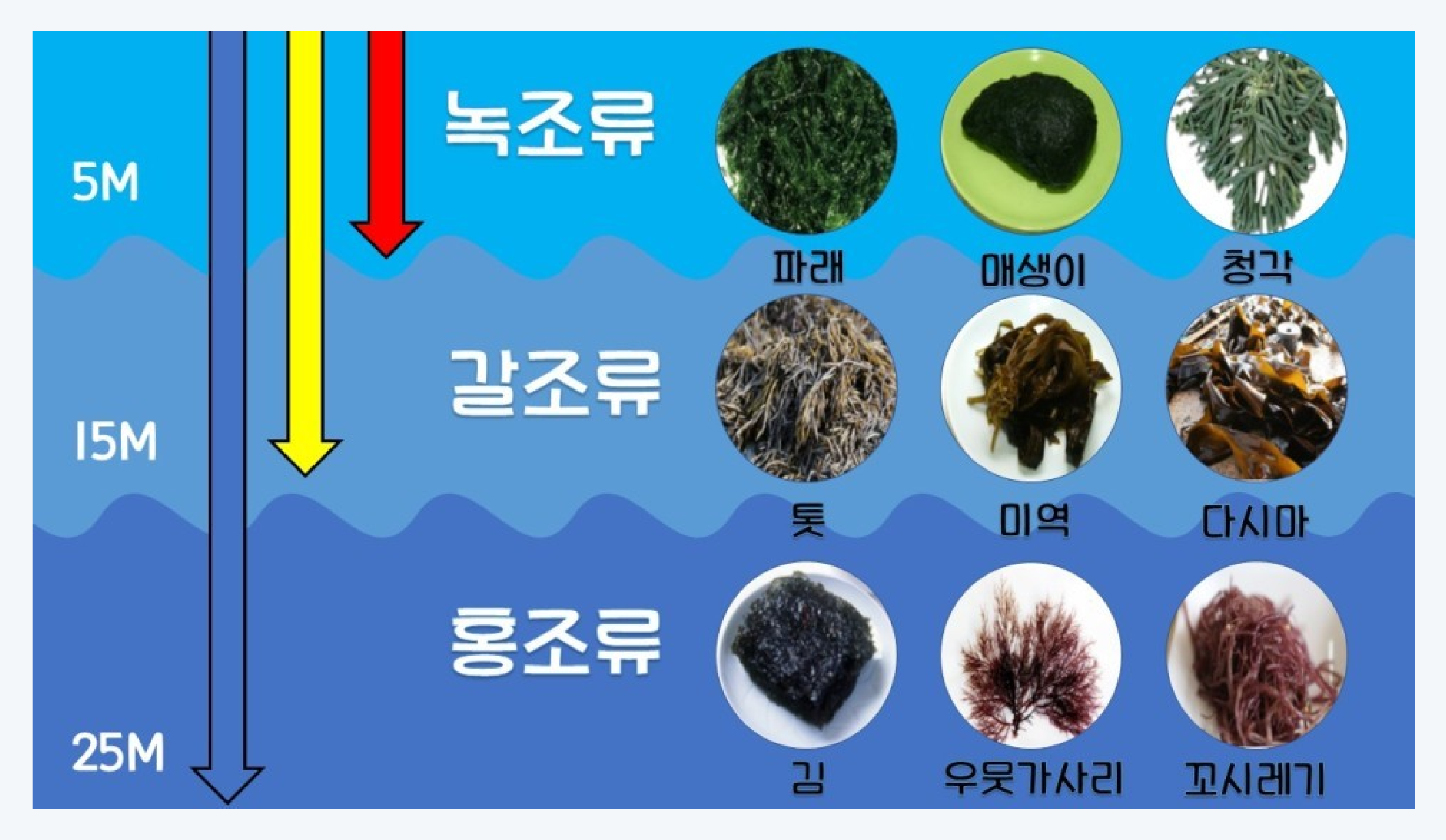 성균관대학교, 윤환수 교수님