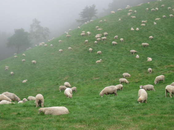마음이 피곤할 때 국내 한적 여행지 베스트