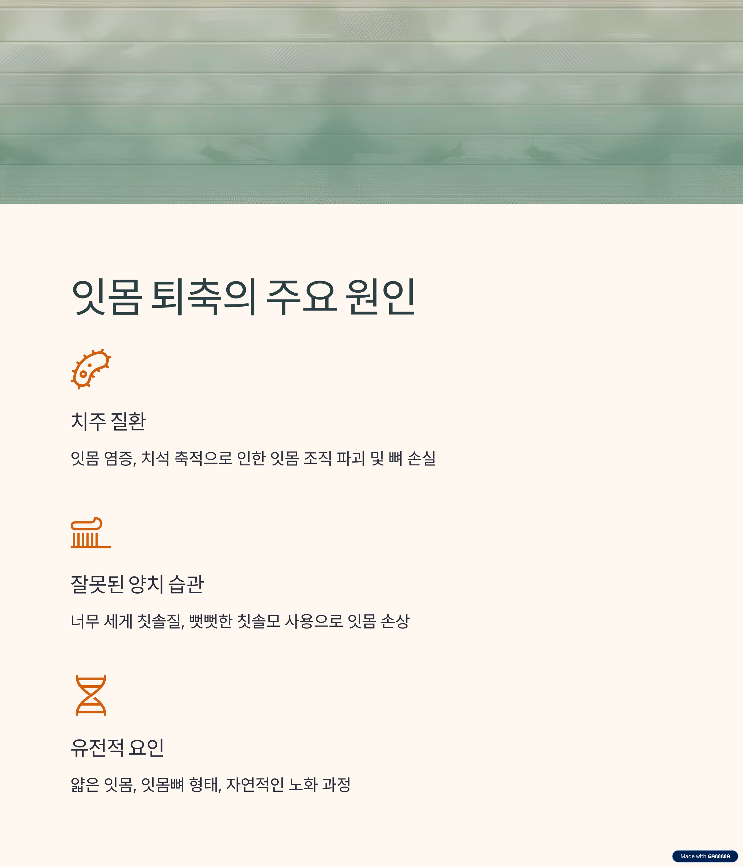 잇몸이 내려앉음 이유? 잇몸 퇴축 원인부터 완벽 예방 & 관리법!
