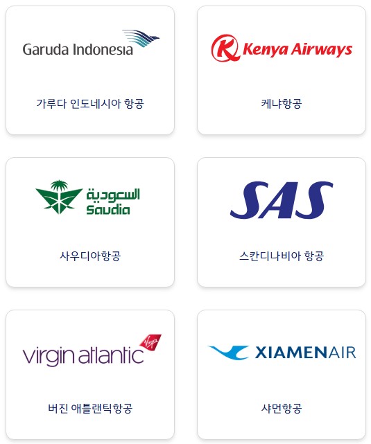케냐항공, 사우디항공, 버진애틀랜틱 등 세계 각국 스카이팀 제휴 항공사 브랜드 이미지