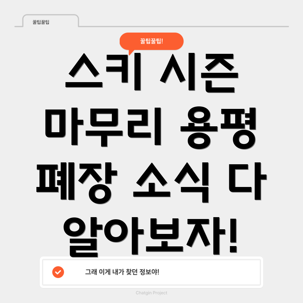 용평 스키장 폐장