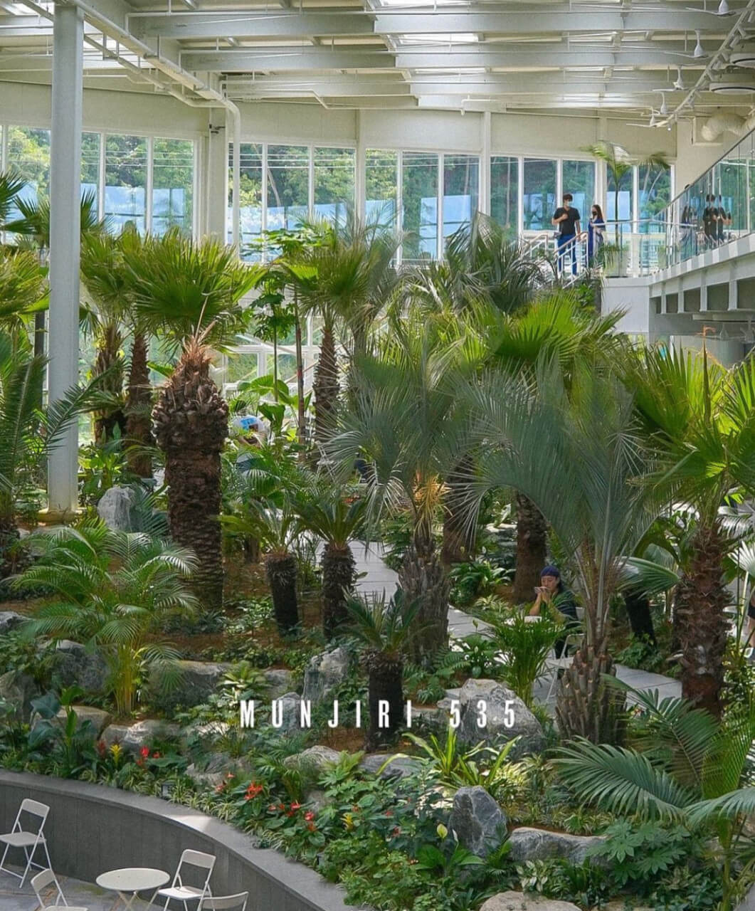 오늘N 소문난 그곳N 파주 식물원 감성 카페 문지리535 파주여행 오늘N2499회