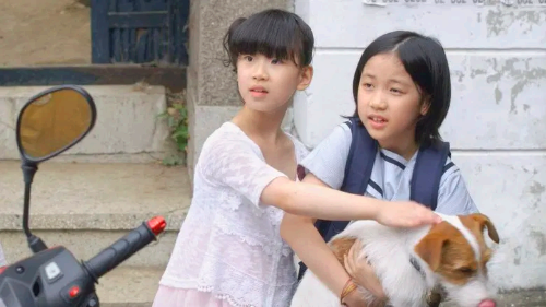 개를 훔치는 완벽한 방법 (How to Steal a Dog, 2014)