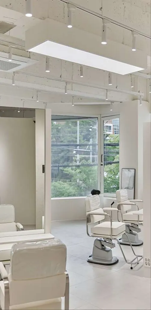 하이유헤어 두정점