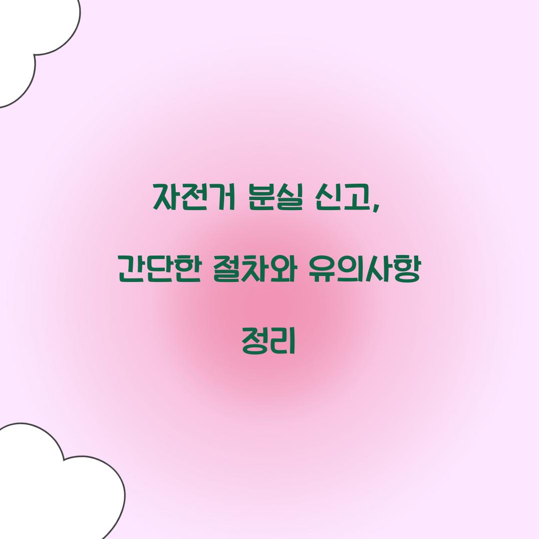 자전거 분실 신고