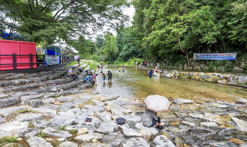 신림계곡 이미지