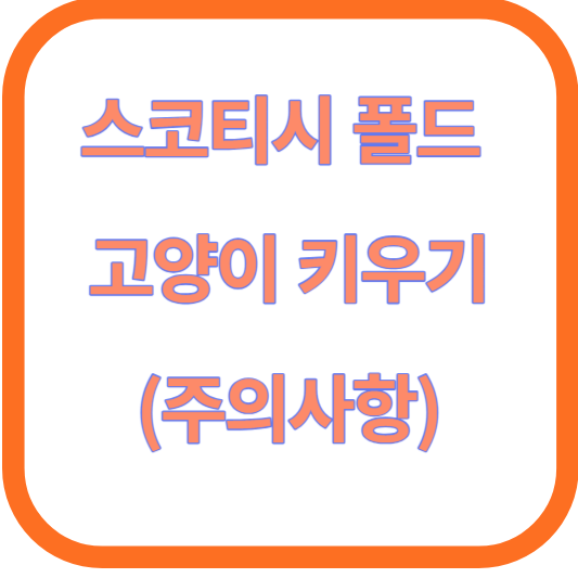 스코티시 폴드 고양이의 키우기(주의사항)