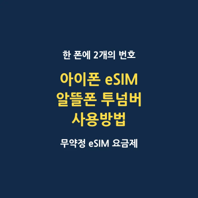 아이폰 eSIM 알뜰폰 요금제 투넘버 사용방법