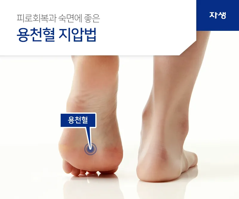 회사에서 졸릴때 잠깨는 혈자리 지압법 효과적 방법_6