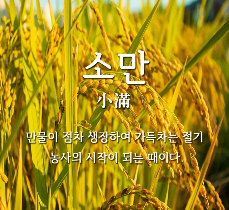 소만 절기 뜻과 의미
