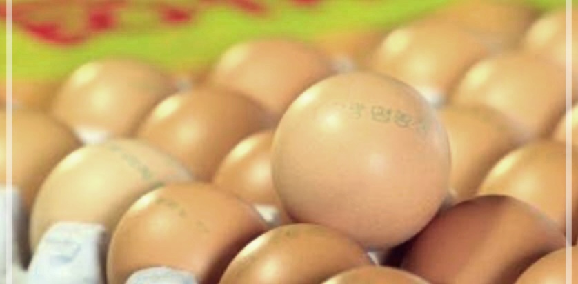 구운계란의 효능, 부작용, 보관방법에 대해