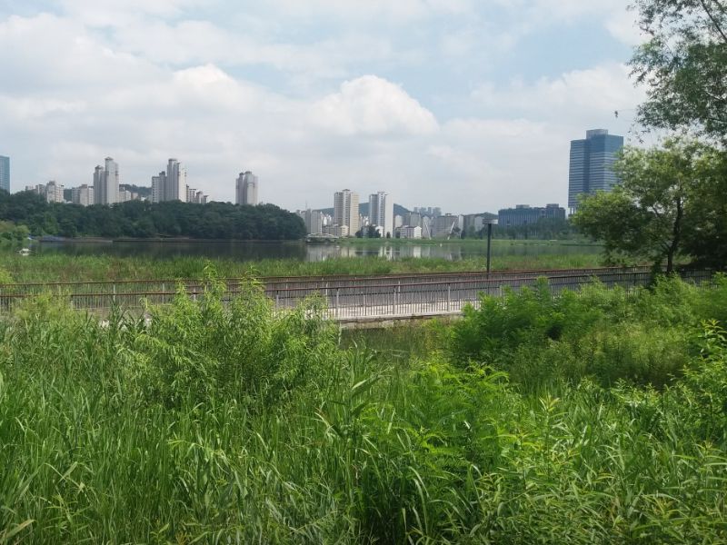 광교호수공원