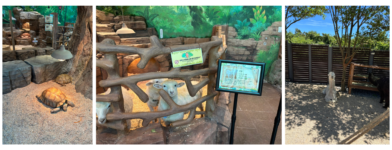 제주 모모쥬 동물체험, 아이와 힐링 가능한 이유?