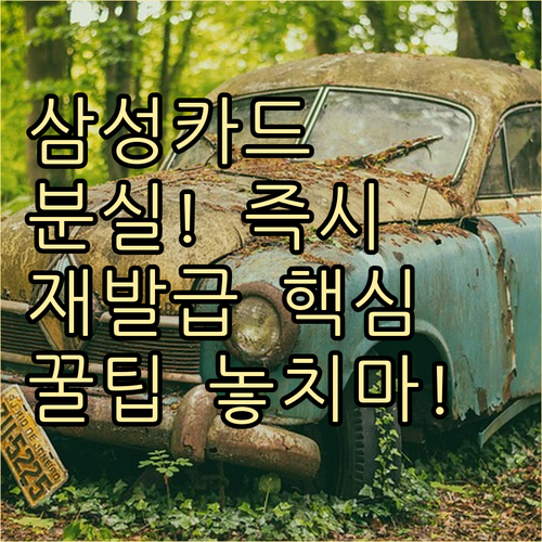 삼성카드 분실 신고 재발급 신청 핵심..