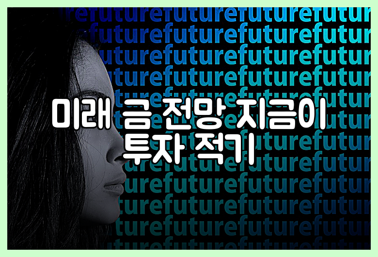 미래 금 전망 지금이 투자 적기