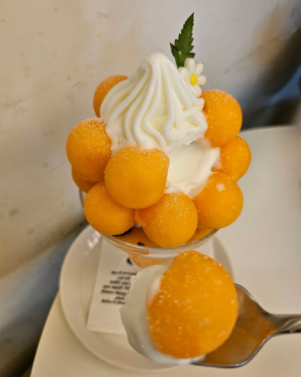 생방송투데이 오픈런 과일빙수 카페 위치 라플레플루트