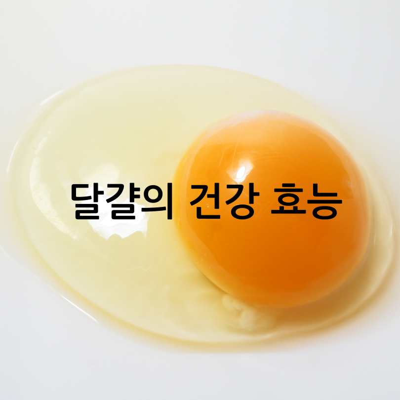 아침에 달걀, 왜 먹는 게 좋을까?