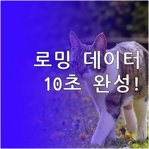 아이폰 갤럭시 해외 로밍 데이터 활성..