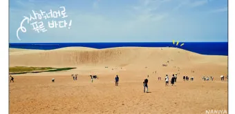일본 돗토리 여행코스 3박 4일 일정 및 필수 관광지 추천_19