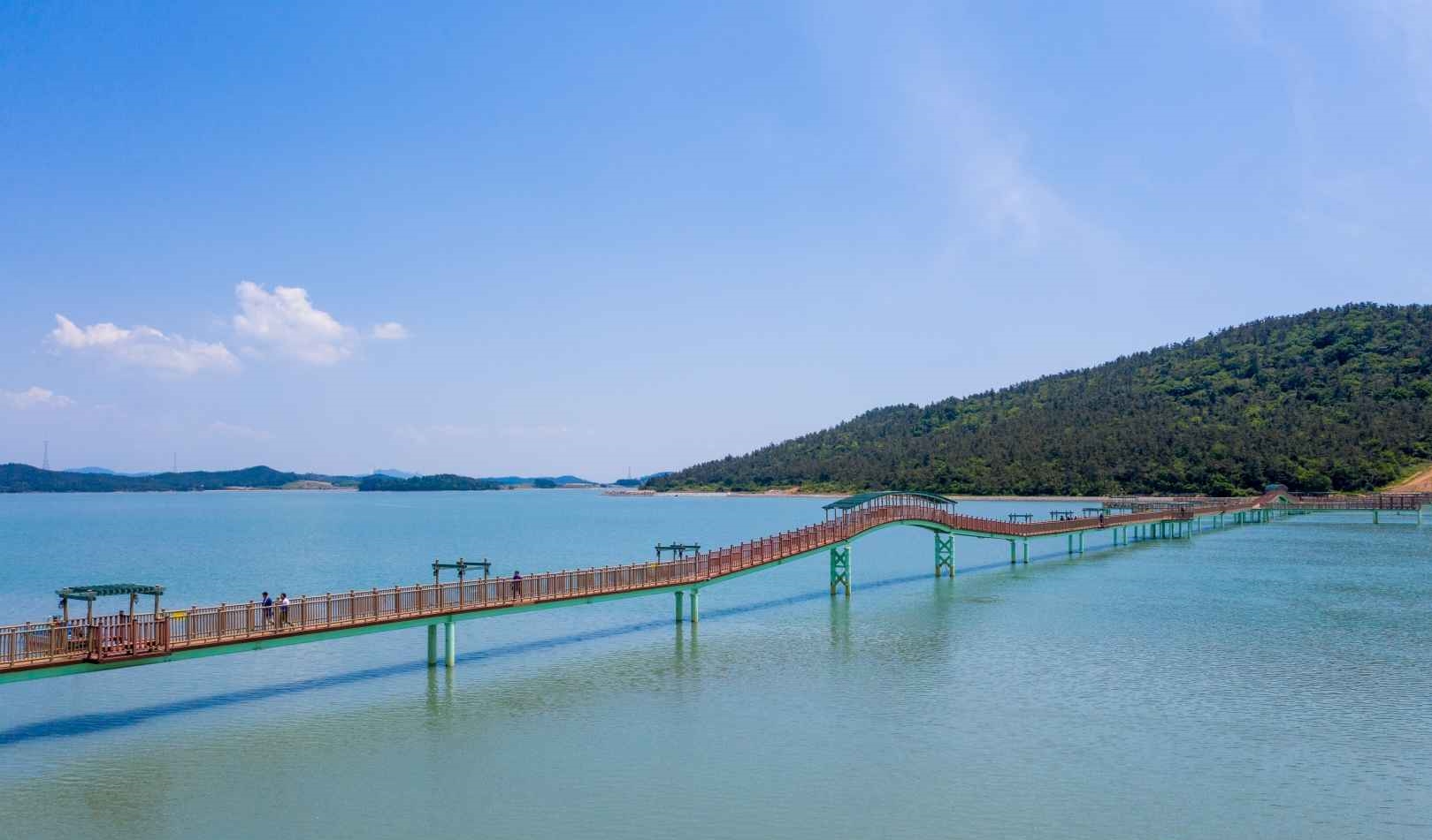 신안 퍼플섬 퍼플교