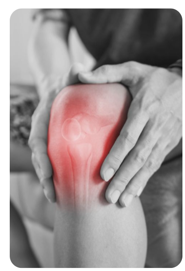 무릎 관절 통증 영양제