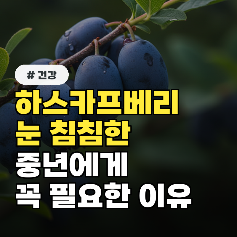 하스카프베리 효능, 눈 침침한 중년들에게 꼭 필요한 이유 3가지