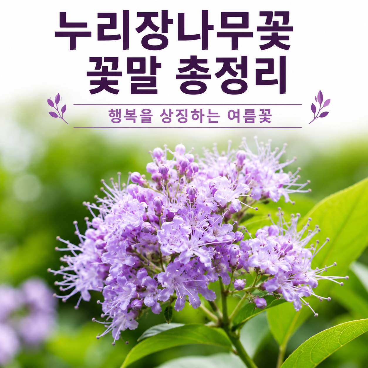 누리장나무꽃 꽃말