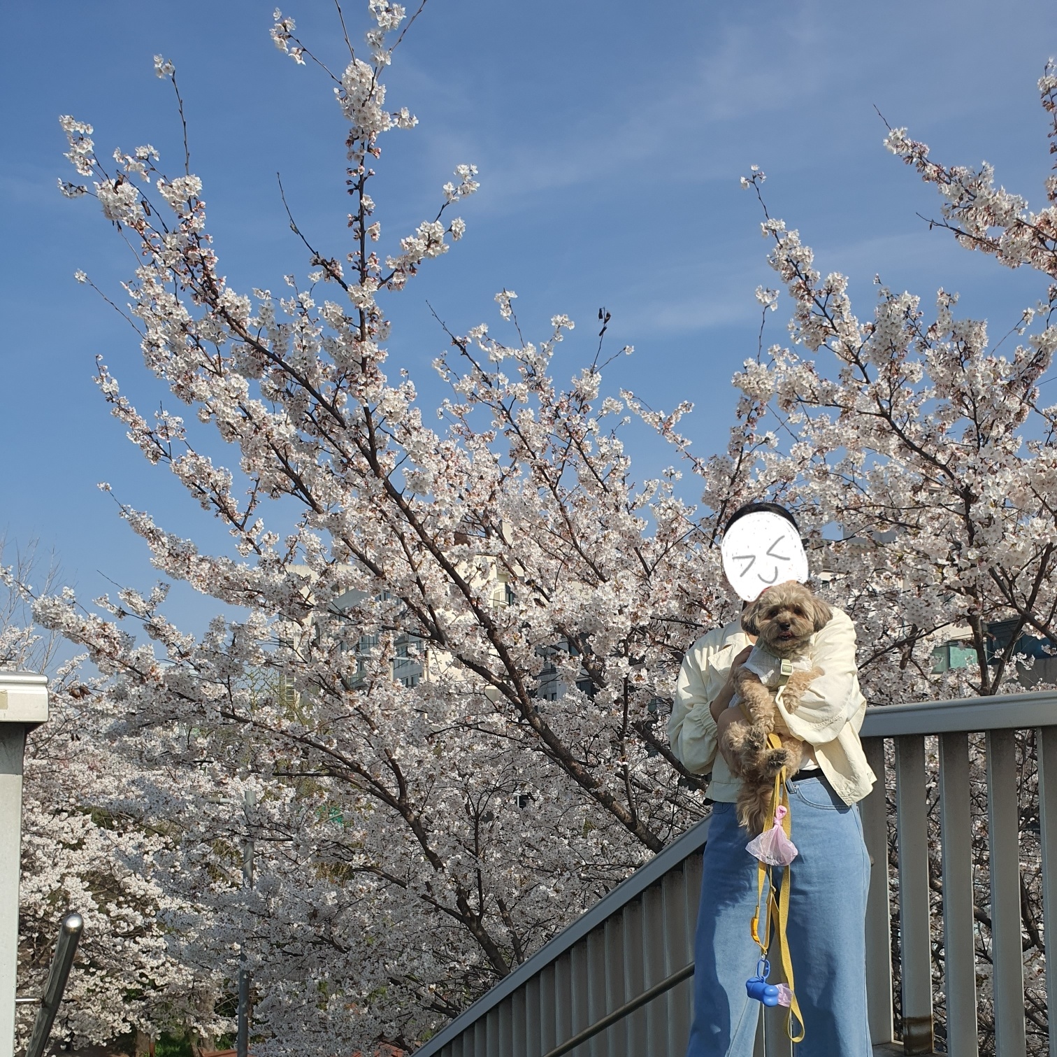 토리와 토리언니