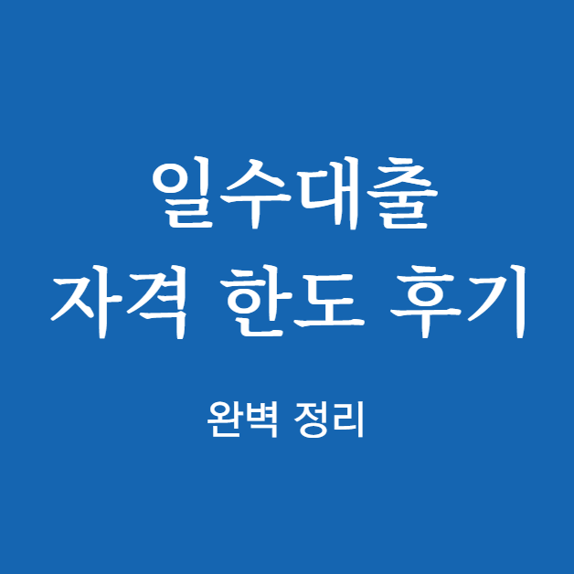 일수대출 자격 한도 및 후기
