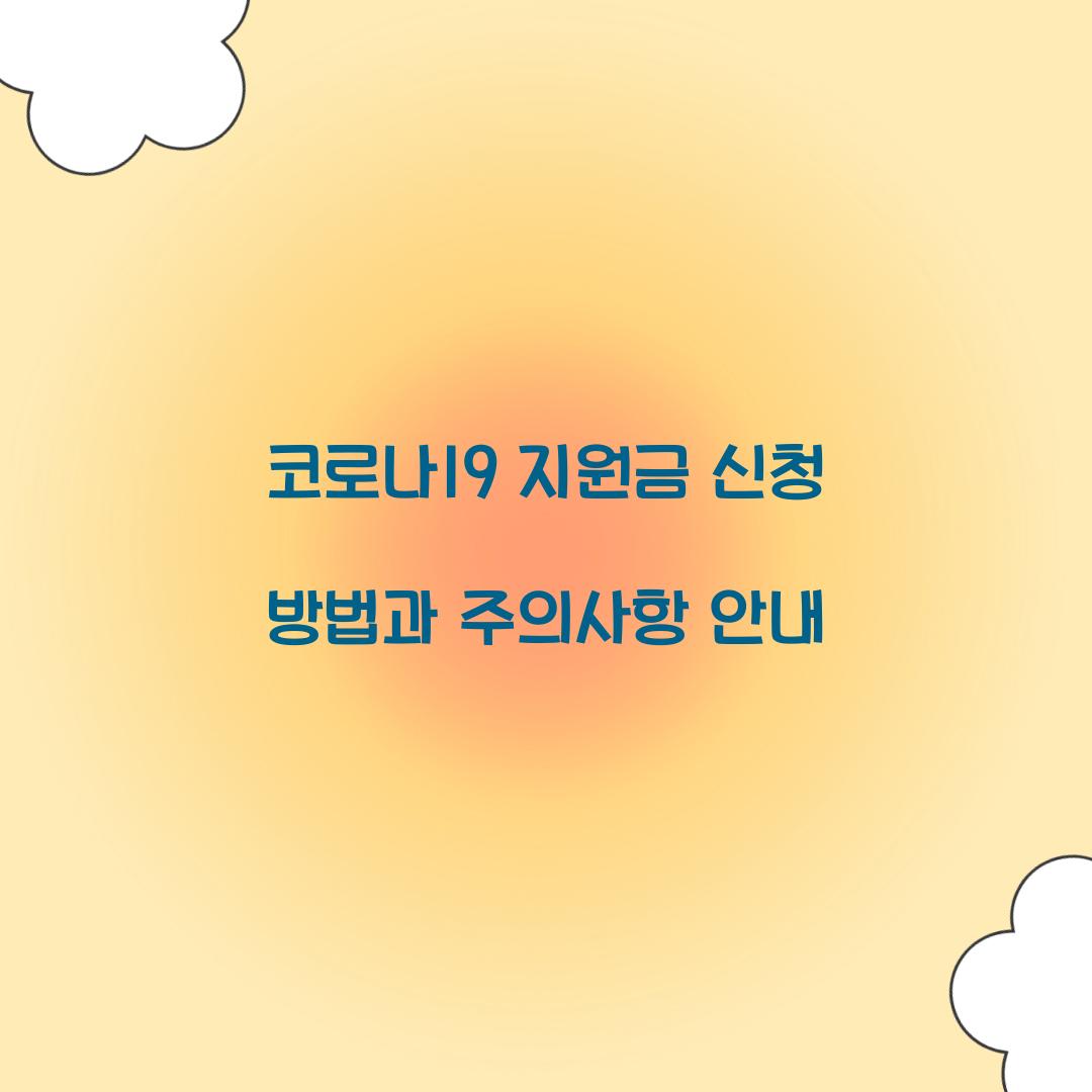 코로나19 지원금