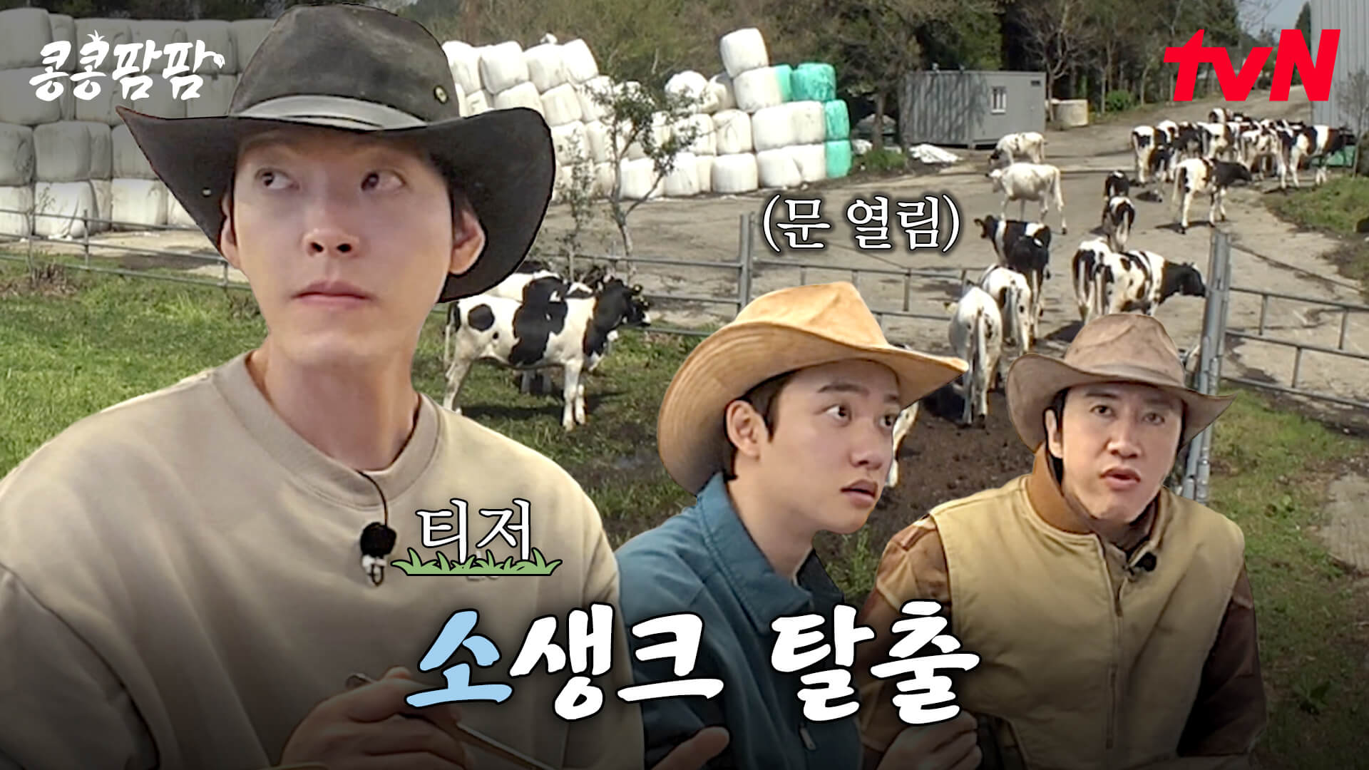 이광수 김우빈 도경수 콩콩팜팜 뜻 몇부작 방송일 티저 예고편