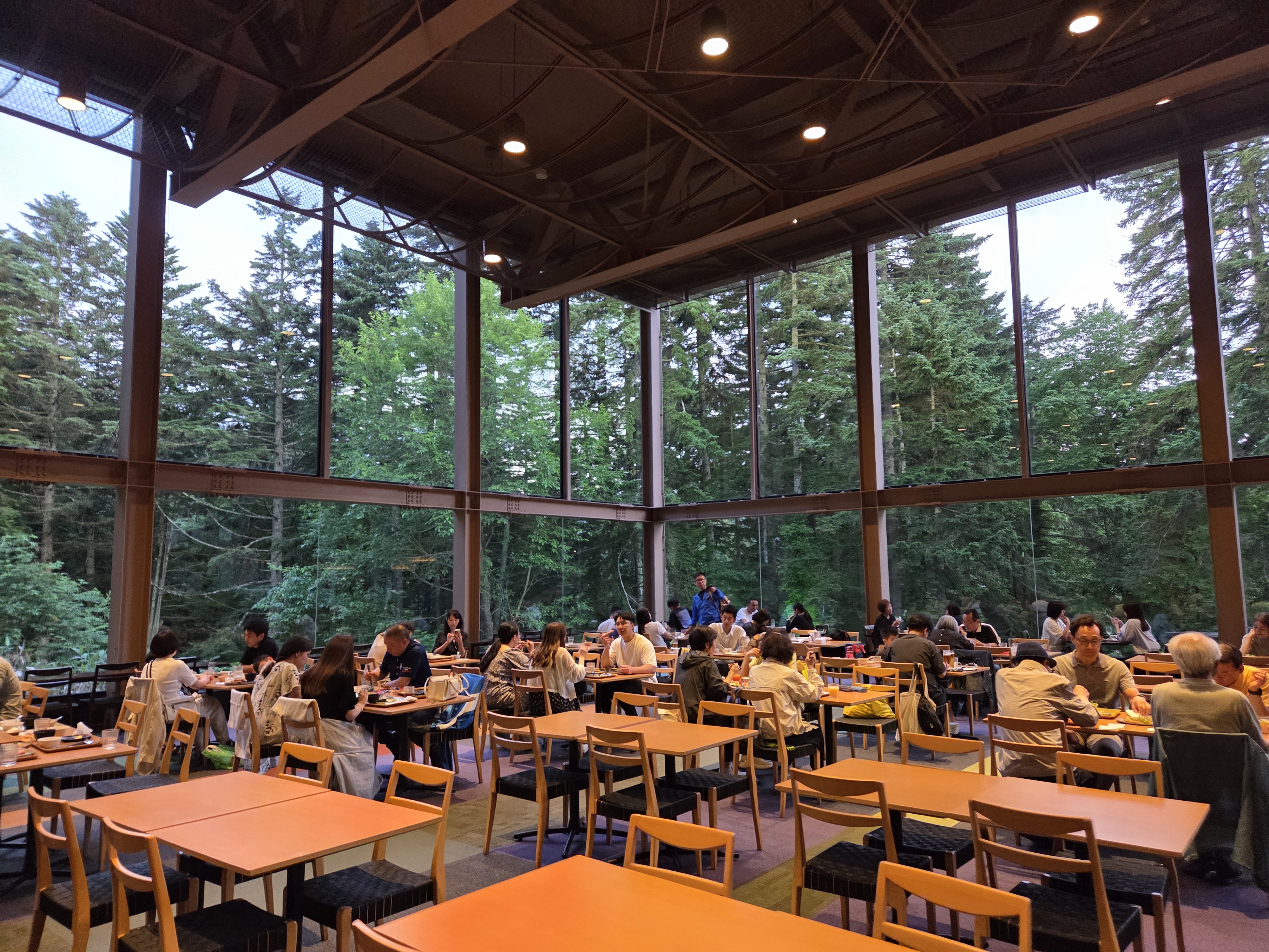 니니누푸리 레스토랑 전경, 통유리 너머로 펼쳐진 푸른 숲속 다이닝 공간