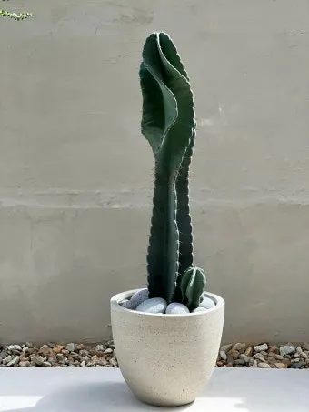 "귀면각