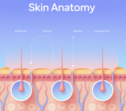피부가려움증의 원인