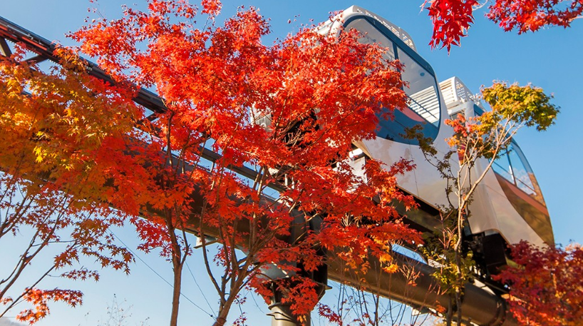 화담숲 모노레일