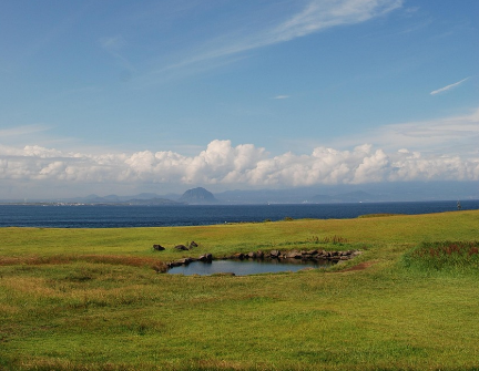 퇴사 후 찾아온 감정 변화 – 제주에서의 멘탈 리셋 일기
