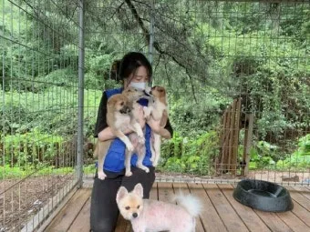 유기동물보호센터 갈 곳 잃은 천사들 희망 이야기_13