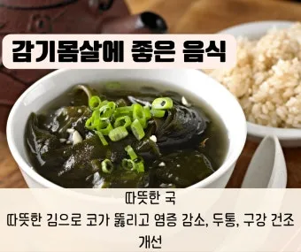감기에 좋은 음식 5가지 자연에서 찾은 면역력 보약 건강식품_13