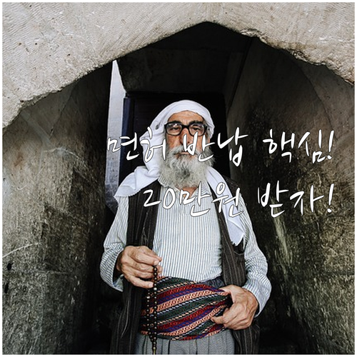 전남 완도군 고령 운전자 면허 반납 ..