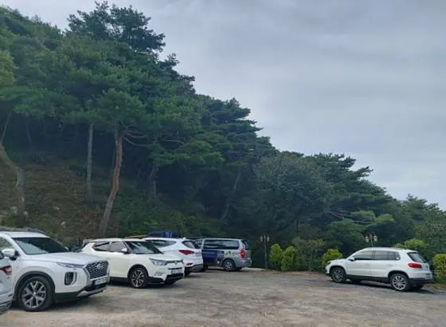 솔향