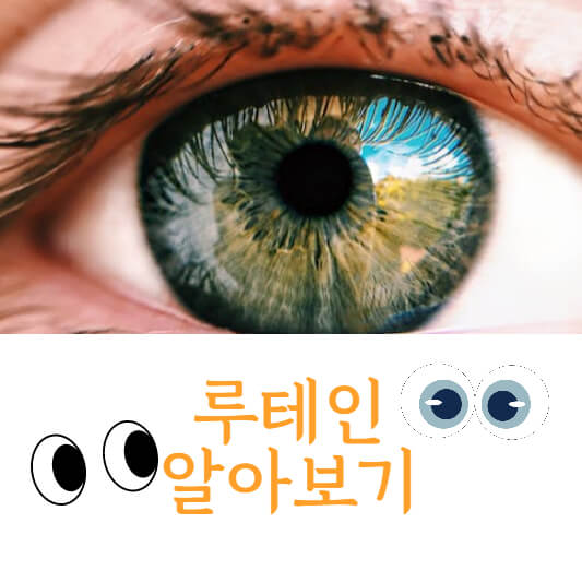 루테인